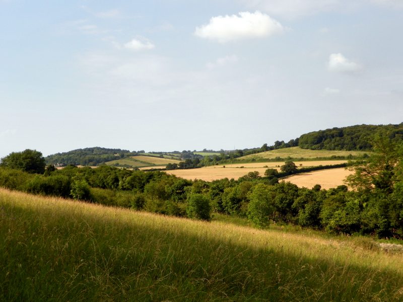 Chilterns AONB Blackwood Bayne Peter O'Connor